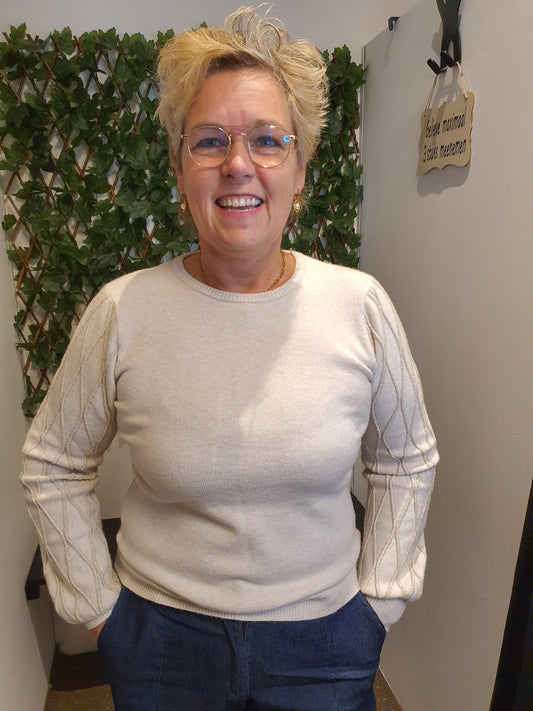 Trui met mouw met lurexdraadje