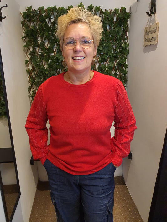 Trui met mouw met lurexdraadje